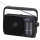 Radio Porttil PANASONIC RF2400DEGK